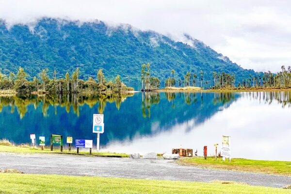 Steve_Muir_Builders_Canterbury_Cahsmere_Bay_rd_architectural_new_build_27